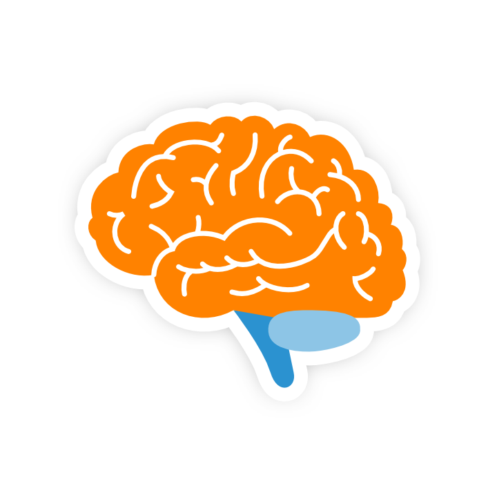 Ćwiczenia rozwijające pamięć i koncentrację w metodzie Best Brain