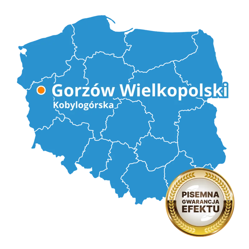 Certyfikat placówki Best Brain – Let's Go, szkoła angielskiego i matematyki w Gorzowie